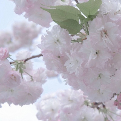 城口FurryQQ群介绍